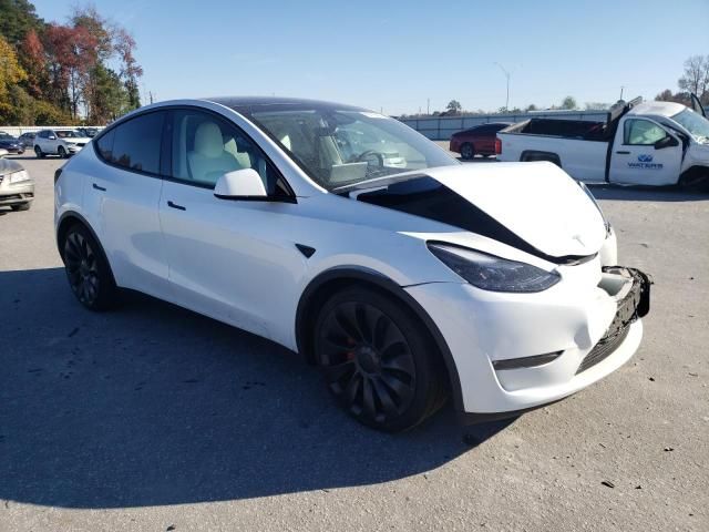 2024 Tesla Model Y