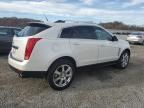 2010 Cadillac SRX Performance Collection