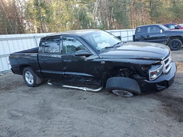 2011 Dodge Dakota SLT