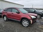 2009 Honda CR-V EX