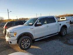 Salvage cars for sale at Indianapolis, IN auction: 2010 Ford F150 Supercrew