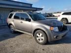 2010 Ford Escape XLS