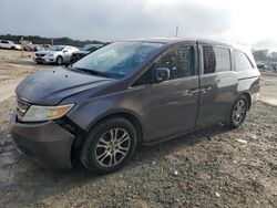 Honda salvage cars for sale: 2011 Honda Odyssey EXL