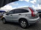 2007 Honda CR-V LX