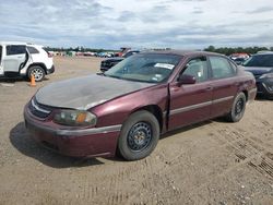 Chevrolet Impala salvage cars for sale: 2004 Chevrolet Impala