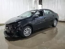 Toyota Vehiculos salvage en venta: 2017 Toyota Corolla L