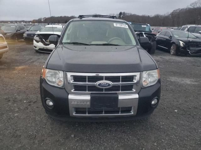 2011 Ford Escape Limited