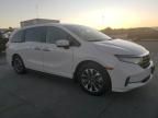 2024 Honda Odyssey EXL