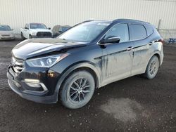 Salvage cars for sale from Copart Rocky View County, AB: 2017 Hyundai Santa FE Sport