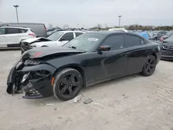 Salvage cars for sale at Indianapolis, IN auction: 2015 Dodge Charger SE