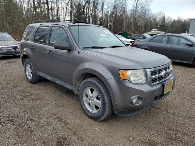 2010 Ford Escape XLT