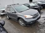 2010 Honda CR-V EXL