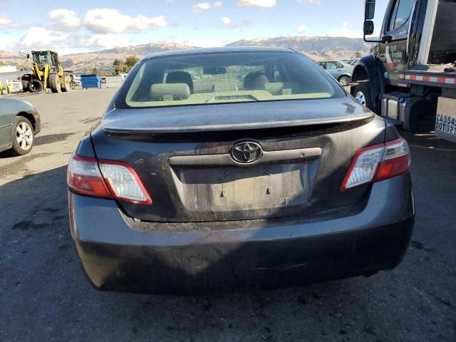 2009 Toyota Camry Hybrid