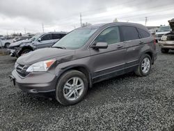 Salvage SUVs for sale at auction: 2010 Honda CR-V EXL