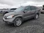 2010 Honda CR-V EXL