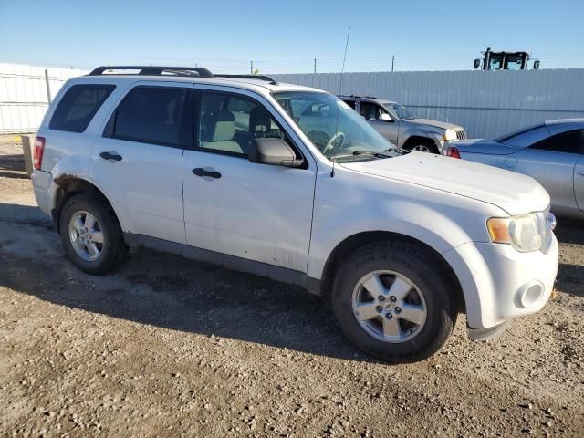 2009 Ford Escape XLT