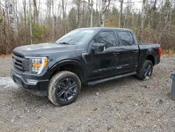 2023 Ford F150 Supercrew en venta en Cookstown, ON