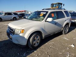 Ford Vehiculos salvage en venta: 2011 Ford Escape Limited