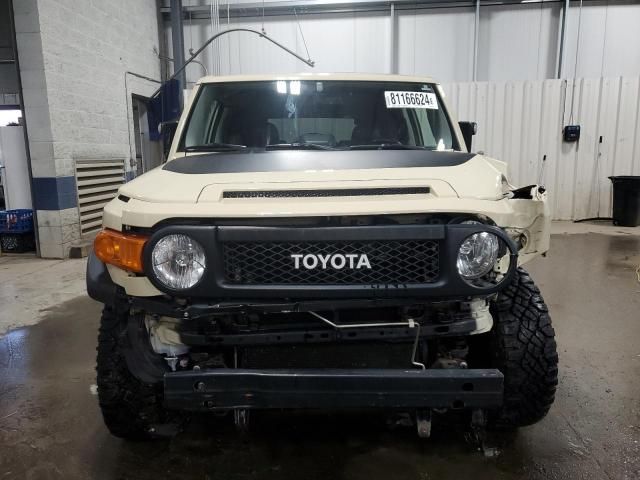 2010 Toyota FJ Cruiser