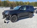 2020 Lexus GX 460 Premium