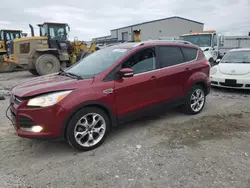 Salvage SUVs for sale at auction: 2015 Ford Escape Titanium