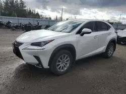 Lexus salvage cars for sale: 2020 Lexus NX 300 Base