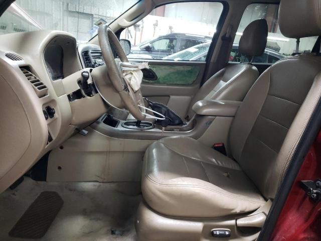 2005 Ford Escape Limited