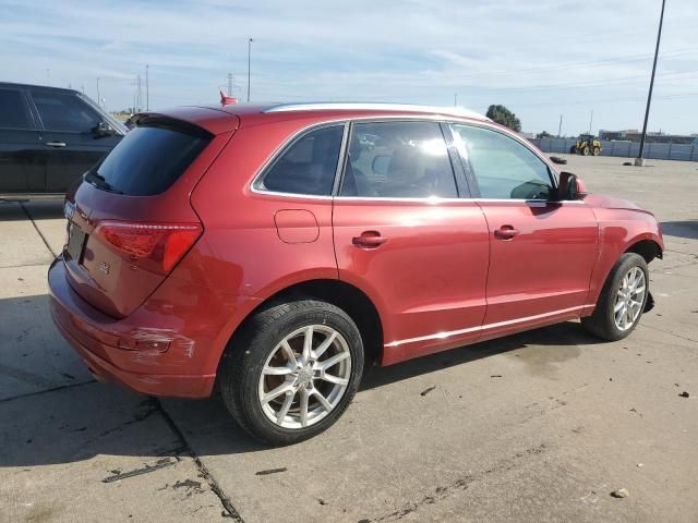 2010 Audi Q5 Premium Plus