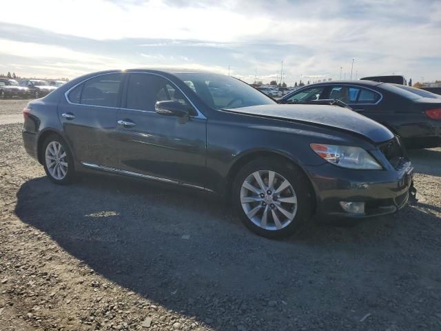 2010 Lexus LS 460