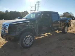 Vehiculos salvage en venta de Copart China Grove, NC: 2013 Ford F150 Supercrew