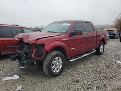 Ford salvage cars for sale: 2014 Ford F150 Supercrew