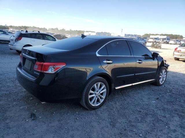 2011 Lexus ES 350