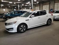 Salvage cars for sale at Blaine, MN auction: 2013 KIA Optima Hybrid