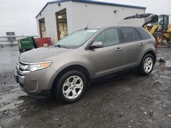 Salvage cars for sale from Copart Airway Heights, WA: 2014 Ford Edge SEL