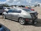 2007 Nissan Maxima SE