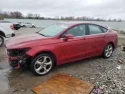 Salvage cars for sale at Louisville, KY auction: 2016 Ford Fusion SE