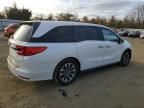 2021 Honda Odyssey EXL