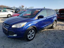 Ford salvage cars for sale: 2014 Ford Escape SE