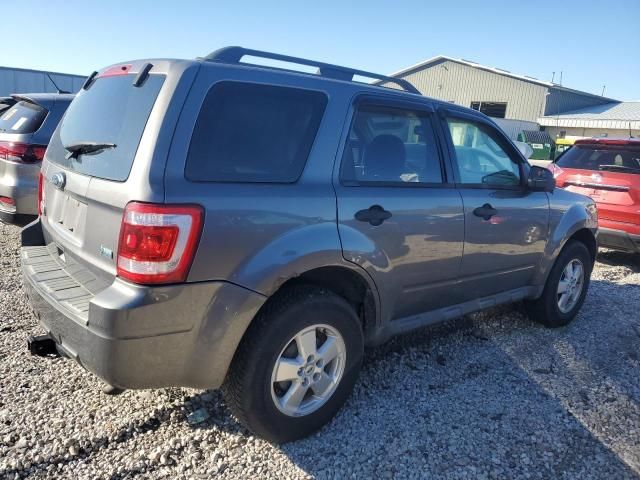 2010 Ford Escape XLT