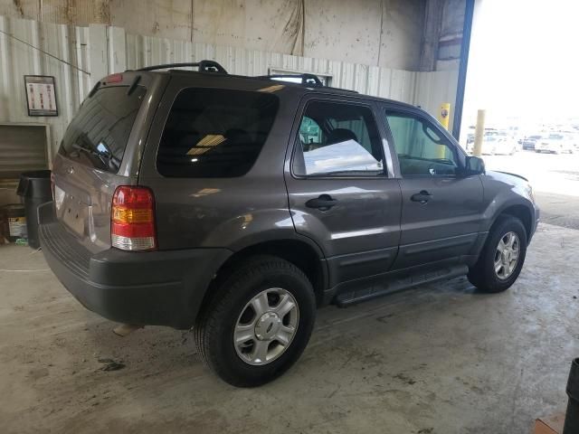 2004 Ford Escape XLT