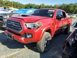 Toyota salvage cars for sale: 2019 Toyota Tacoma Double Cab