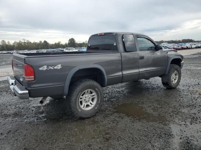 2004 Dodge Dakota SLT