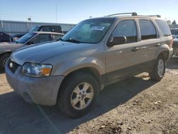 Salvage cars for sale from Copart Dyer, IN: 2007 Ford Escape XLT