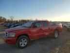 2010 Dodge Dakota SXT