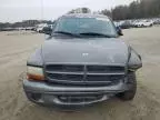 2004 Dodge Dakota Quad SLT