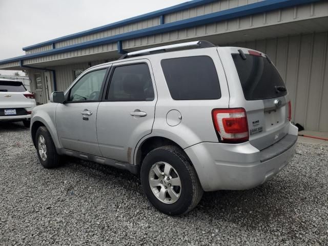 2010 Ford Escape Limited