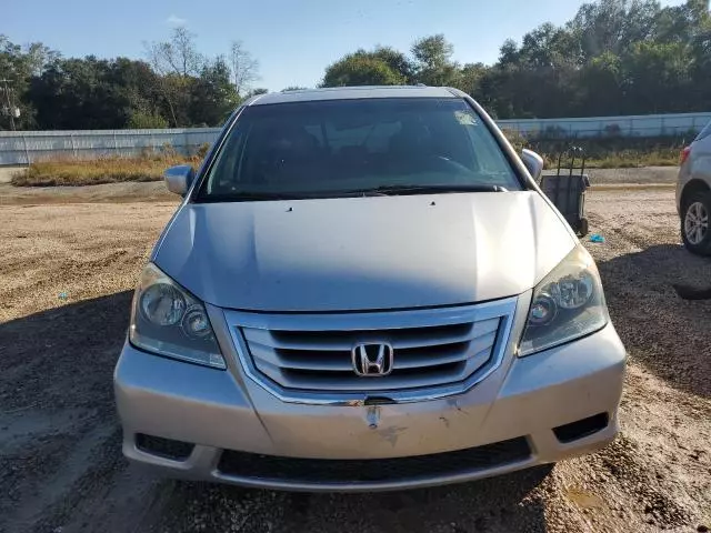 2010 Honda Odyssey EXL