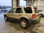 2007 Ford Escape XLT