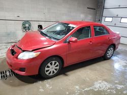 Salvage cars for sale at Blaine, MN auction: 2010 Toyota Corolla Base