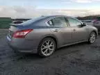 2009 Nissan Maxima S